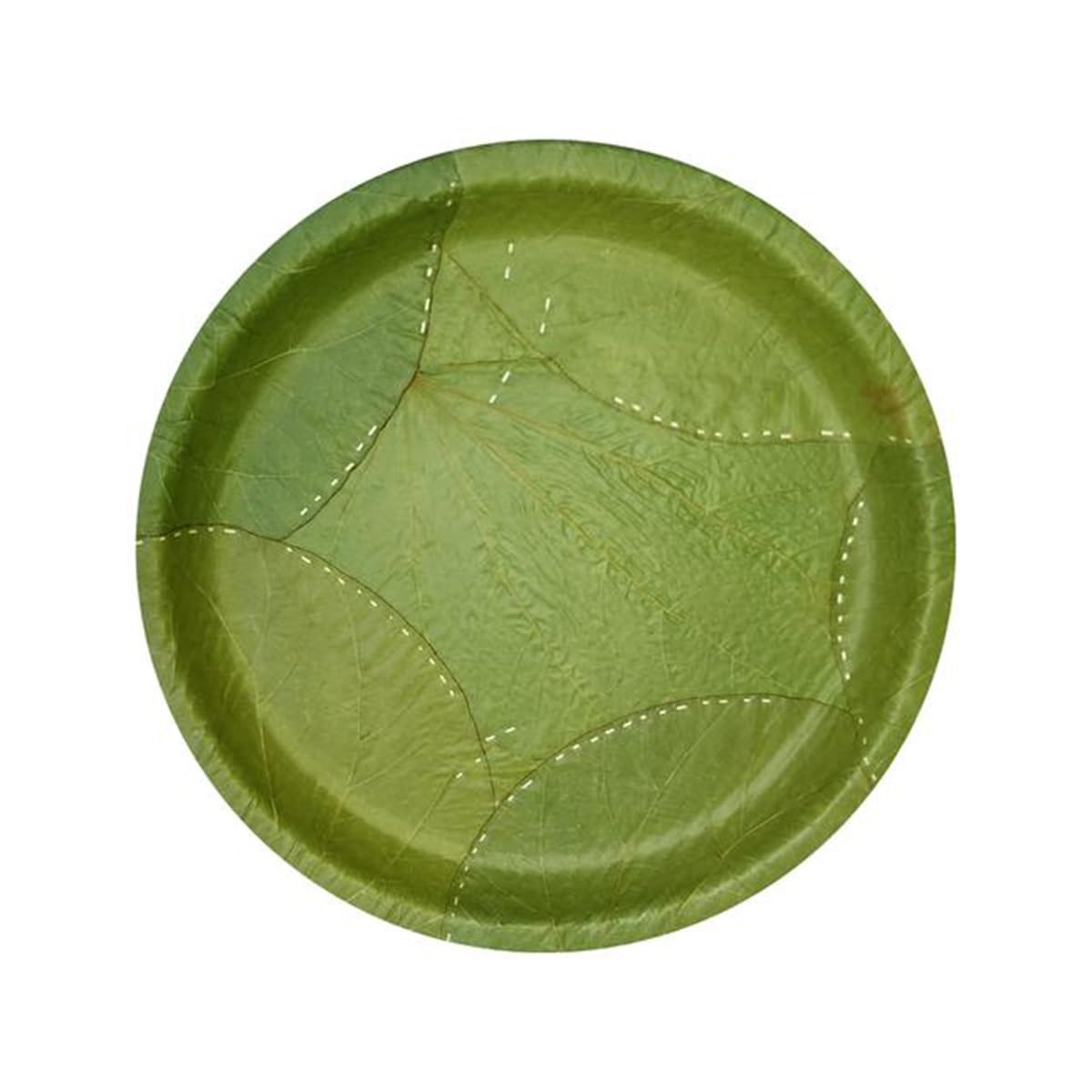 Grid Image 2