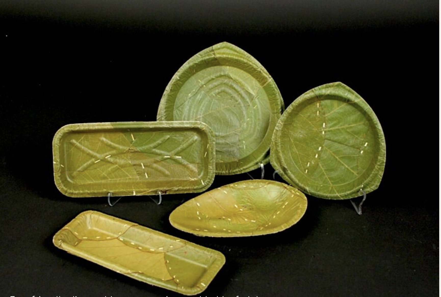 Grid Image 1